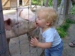 baby-kissing-pig.jpg